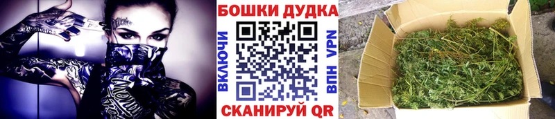 Каннабис семена  Аша 